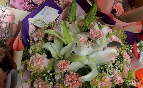 康乃馨芬芳里的感恩与商机 母亲节鲜花礼品市场热潮解析