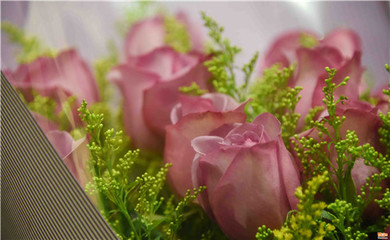 情人节合肥鲜花市场“一片红火”，礼品花卉销售火爆