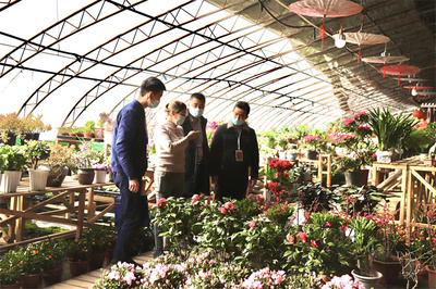 年前督查不放松，严把礼品花卉销售规范关